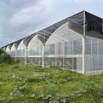 Hot Dip Galvanized Steel Pipe Green House Hothouse Ventilated Plastic Sawtooth
