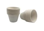 Take Away 60ml 2oz Sugarcane Bagasse Cups