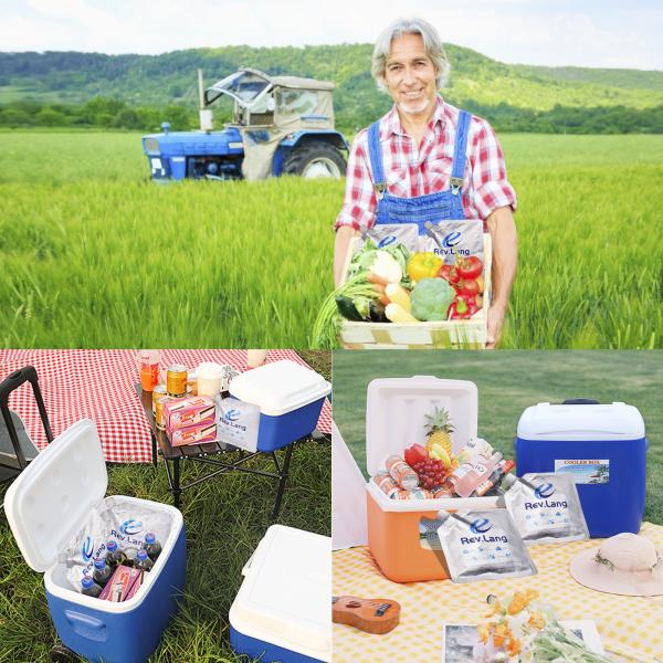 Aluminum Reusable Ice Packs for Coolers