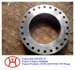 316L UNS S31603 1.4404 WN SO SW blind plate lap joint flange forging disc ring