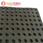 Construction Blue HDPE Board 10mm Drainage Cell with CE/ISO9001/ISO14001