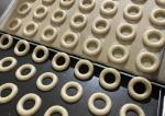 Schneider Transducer Soft And Hard Biscuits Making Machine