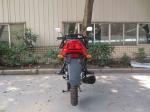 Warriors 110CC engine type knight motorcycle, the performance to meet customer