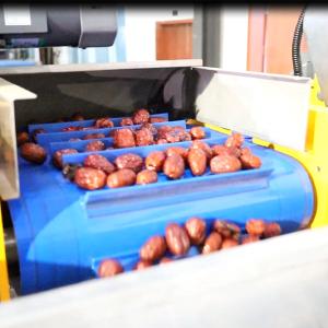 Wholesale Silver Stainless Steel Dates Sorting And Grading Machine 380V 10 Lanes from china suppliers