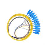 Single Mode Fiber Optic Pigtail 12 Cores 0.9mm 3.0mm SC UPC Connector