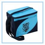 Eco-Friendly Insulated Cooler Bags Colored Non Woven 2mm Aluminum EPE