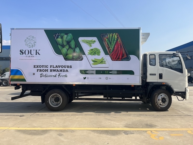 10 Tons Carry Capacity LHD RHD HOWO Freezer Truck With 6m Box