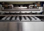 Virgin Paper Pulp Tableware / Dishware Pulp Molding Equipment from 1800~18000Pcs
