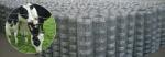 Galvanized Steel Wire Mesh Fence Animal 72 inch field fence Zoo Wild Fencing