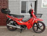 110CC Model Zongshen Engine 125cc Motorcycle Africa Popular 110CC Mini