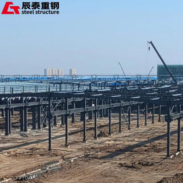 Customized Steel Structure Manufacturing For Office Building / Poultry Farm /
