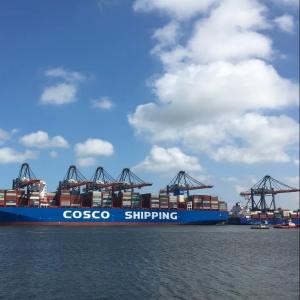 Wholesale 20GP/40GP/40HQ/40RH/45HQ Container International Shipping Service FCL LCL Options from china suppliers
