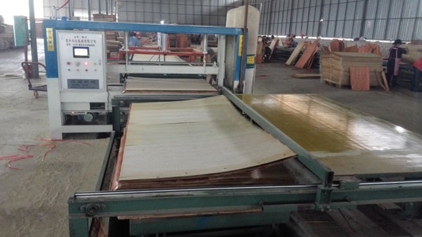 Melamine Paper WBP Glue 20mm White Faced Plywood Sheets