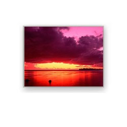 G080Y1-T01 CHIMEI INNOLUX 8.0" 800(RGB)×480 600 cd/m² INDUSTRIAL LCD DISPLAY