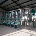 Electric Roller Durum Wheat Flour Mill Grinder Milling Machine in Ghana