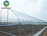 Galvanized Steel Single Span PE Film Greenhouses For Agriculture