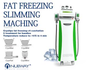 Wholesale 2014 Newest-released!!! The most featured Cryolipolysis Slimming Apparatus Green Vertical from china suppliers