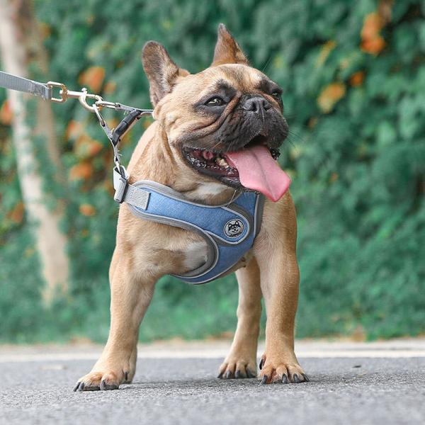 Small Medium Sized Reflective Vest Type Dog Traction Rope Anti Break Off