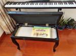 Accuracy Pro Audio B06-KIT Hot Selling Musical Equipment Adjust piano bench will