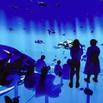 AR Immersive Cinema Led Screen Simulator Cinema For Cultural Tourism