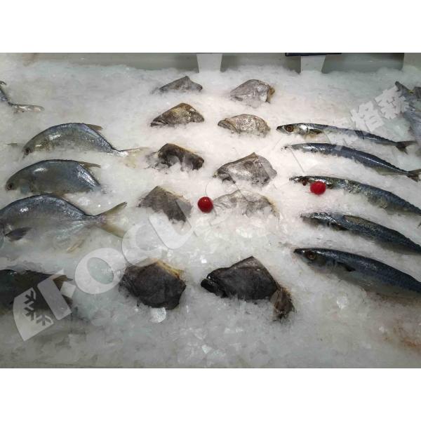 Bitzer Compressor 1 Ton Flake Ice Making Machine for Small Capacity Ice Production