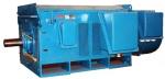 YR Series High voltage wound three-phase asynchronous motor