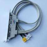 NEW High quaility 2 USB 2.0 Ports + 2 Firewire IEEE 1394 Ports Expansion Rear