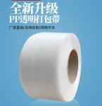 380V/220V plastic belt extruder, packaging belt production equipment, PP