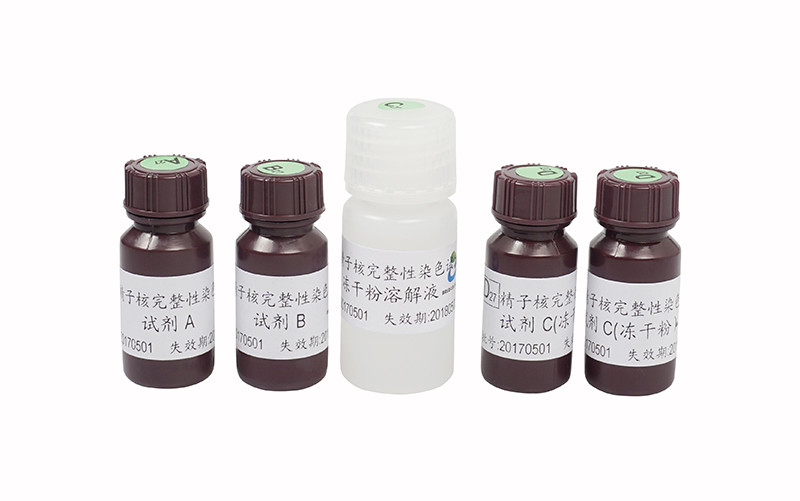Wholesale Male Infertility Sperm Maturity Kit / Sperm Chromatin Structure Assay Kit from china suppliers