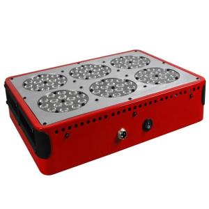 Wholesale CIDLY 270W Hydroponics LED grow lighting Systems Indoor garden Grow room lighting from china suppliers