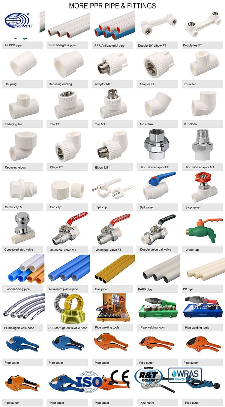 20211027135438b01c69d437484b119796b572a583bc5a
