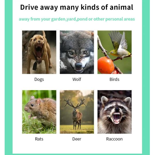 Electric Dog Bark Deterrent Outdoor Sonic Repellent Uitrasonic frequency 20 khz 36.5 khz