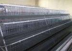 Hot Dipped Galvanized Steel Welded H Type Battery Cages For Broilers