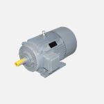 750r-3000r Rated Speed Permanent Magnet Synchronous Motor For Industrial