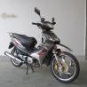 Buy cheap Leisure 135CC 1310mm Wheelbase TR135-AD Cub Motorcycle from wholesalers