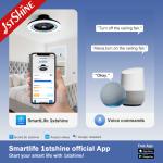 Bedroom Bladeless Fan With RGB Light Smart APP Black Modern Small Size