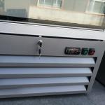 Glass Front Upright Freezer / Glass Door Freezer Merchandiser Environmentally