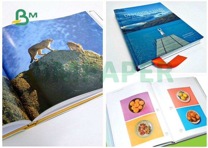 25inches x 38inches 60LB 80LB 100LB Coated Two Sided Matt Paper For Brochures