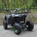 800W Electric ATV for Kids and Adults Take Your Off-Road Adventures to the Next