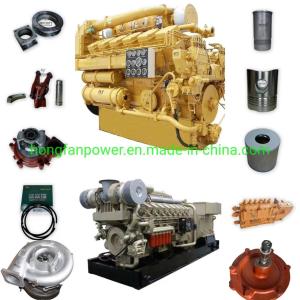 Wholesale Drilling and Production Accessories Made in China 6190, 8190, 12V190, 16V190 Chidong from china suppliers
