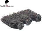 Full End Indian Virgin Hair Kinky Curly Natural Black 1b Human Hair Weft