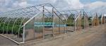 small garden green house,Multispan Tunnel Greenhouse for Tomato Agricultural