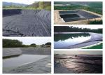 Textured LDPE LLDPE Polyethylene Geomembrane 0.5mm 1mm 1.5mm 2mm Waterproof