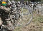 Razor Concertina Wire Galvanised Steel Garden Fence Helical Barbed Wire Coiled