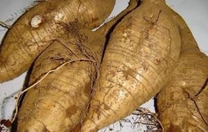 Wholesale Isoflavones 40%-90% Qure Natural Kudzu Root Extract --Pueraria Lobata (Wild.) ohwi from china suppliers