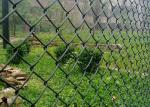 Decorative 50x50mm Galvanized Chain Link Fence 8 Gauge