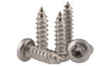 Stainless Steel Torx Drive Pan Head Tapping Screws for Sheet Metal Six-Lobe