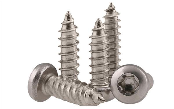 Stainless Steel Torx Drive Pan Head Tapping Screws for Sheet Metal Six-Lobe