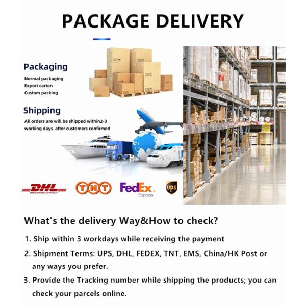 OEM ODM Compact Flash Memory Card 64GB 128GB 512GB High Speed Class 10 SD Card