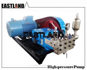 Wholesale Sell Quality Sea Water Pump Triplex Piston/Plunger Pump Made in China from china suppliers